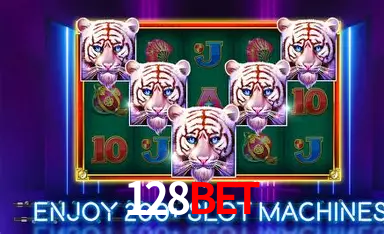 Descubra a Essência do 128bet: Nossa História e Compromissos